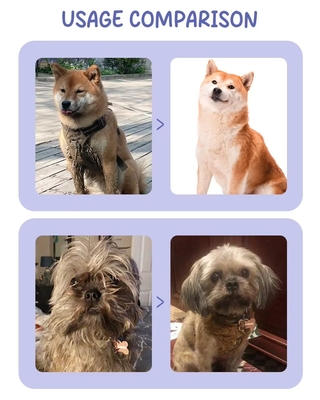 Eco Friendly Pet Clean Sheet Harmless Gentle Biodegradable Customizable